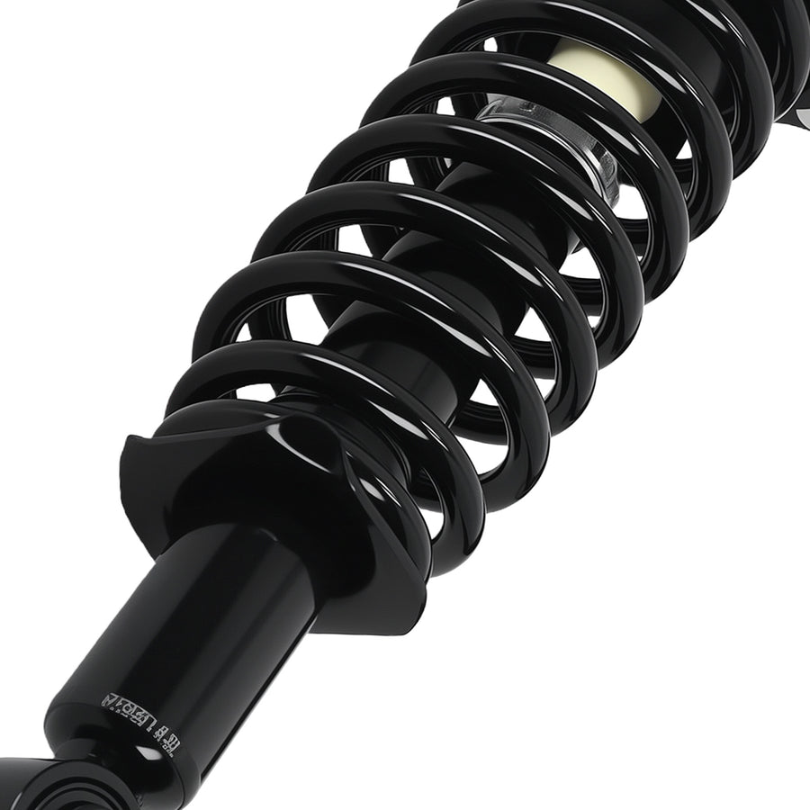 Rear Strut Coil Spring + Sway Bar Links compatible for Toyota Corolla 2003-2008 Matrix Vibe