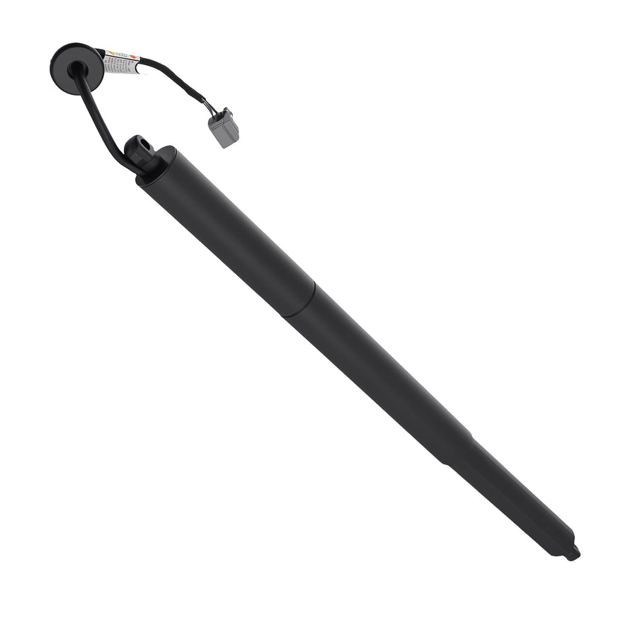 Hatch Support compatible for Ford Police Interceptor Utility 2015 Rear Left BB5Z14B351A