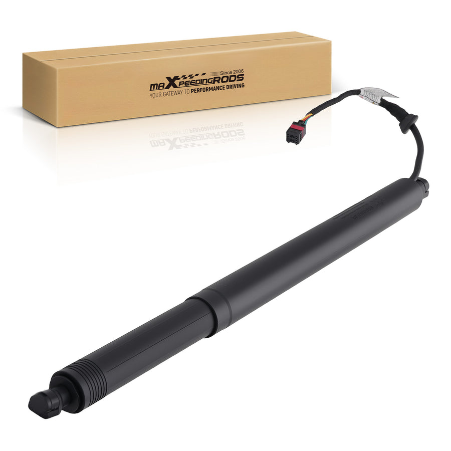 Hatch Lift Support compatible for Hyundai Santa Fe Ultimate/SEL Plus 2019 Rear Left Steel